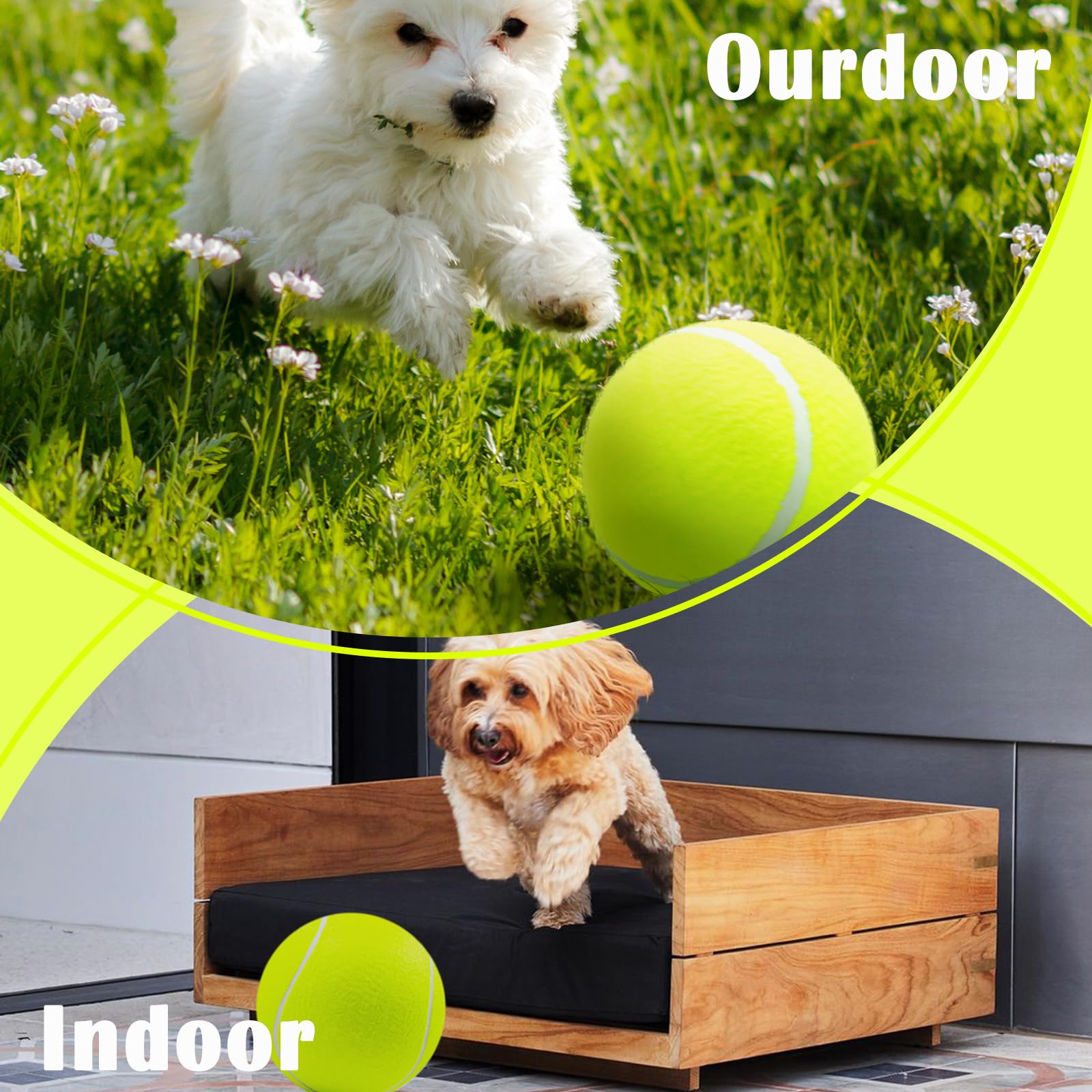 Banfeng oversized ball in park setting, encourages running and active dog fitness.