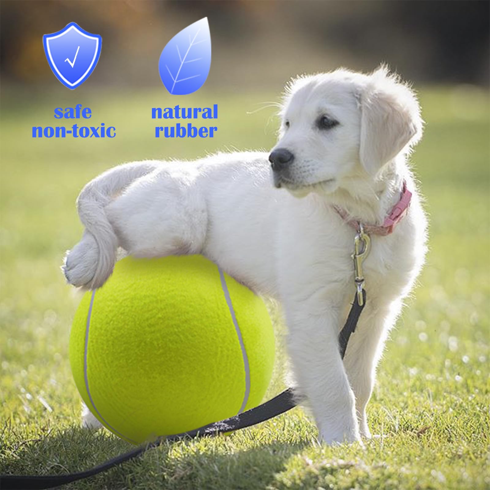Banfeng giant dog tennis ball for outdoor play and training.