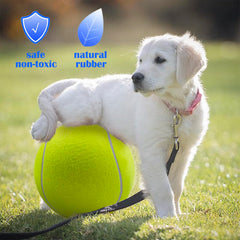 Banfeng giant dog tennis ball for outdoor play and training.