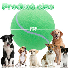 Banfeng giant dog tennis ball for training and chasing sessions.