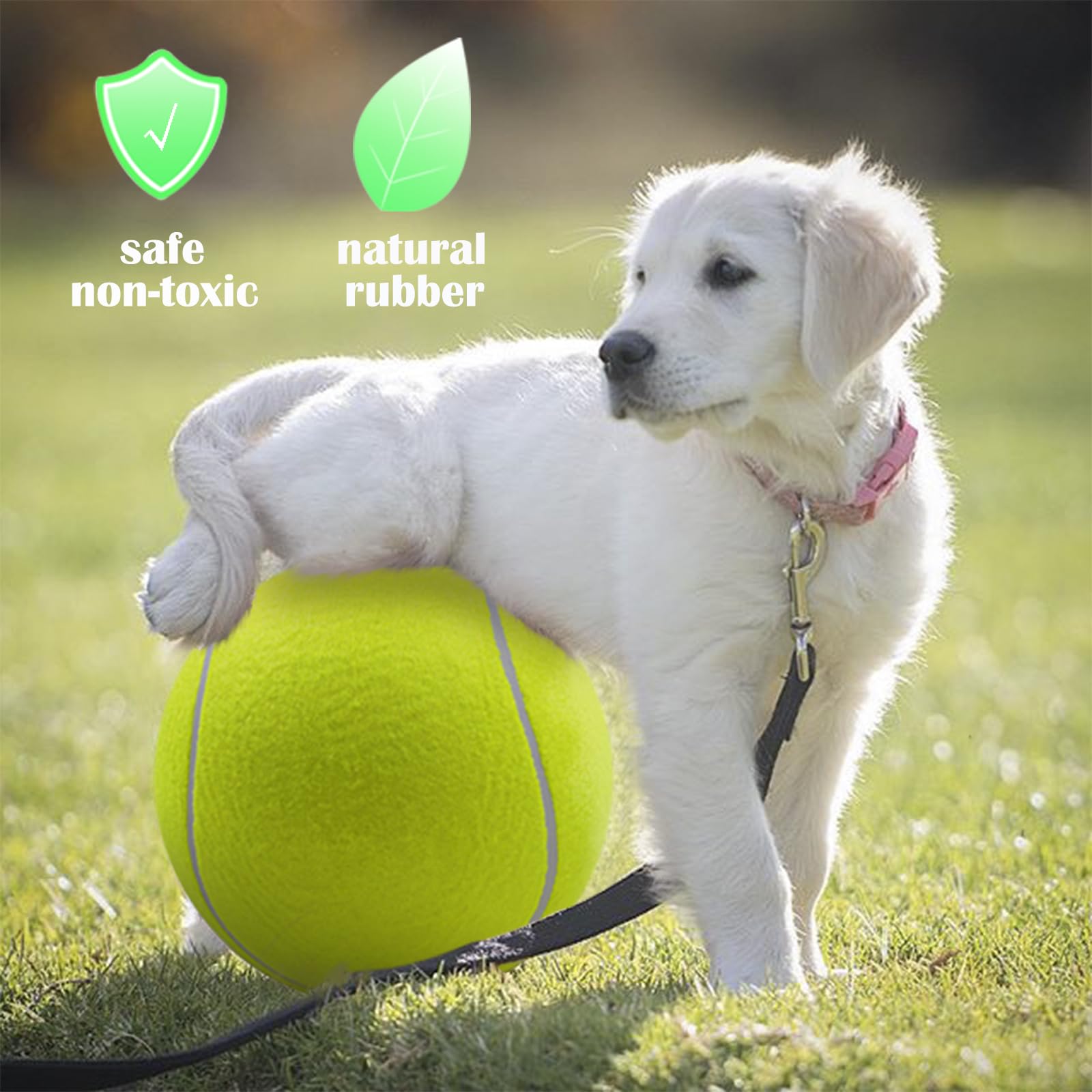 Banfeng durable natural rubber and thick felt close-up, safe for playful sessions.