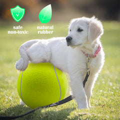 Banfeng durable natural rubber and thick felt close-up, safe for playful sessions.