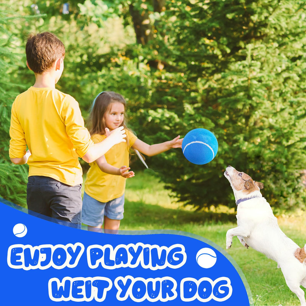 Banfeng Giant 8in ball family-friendly play for pets and kids