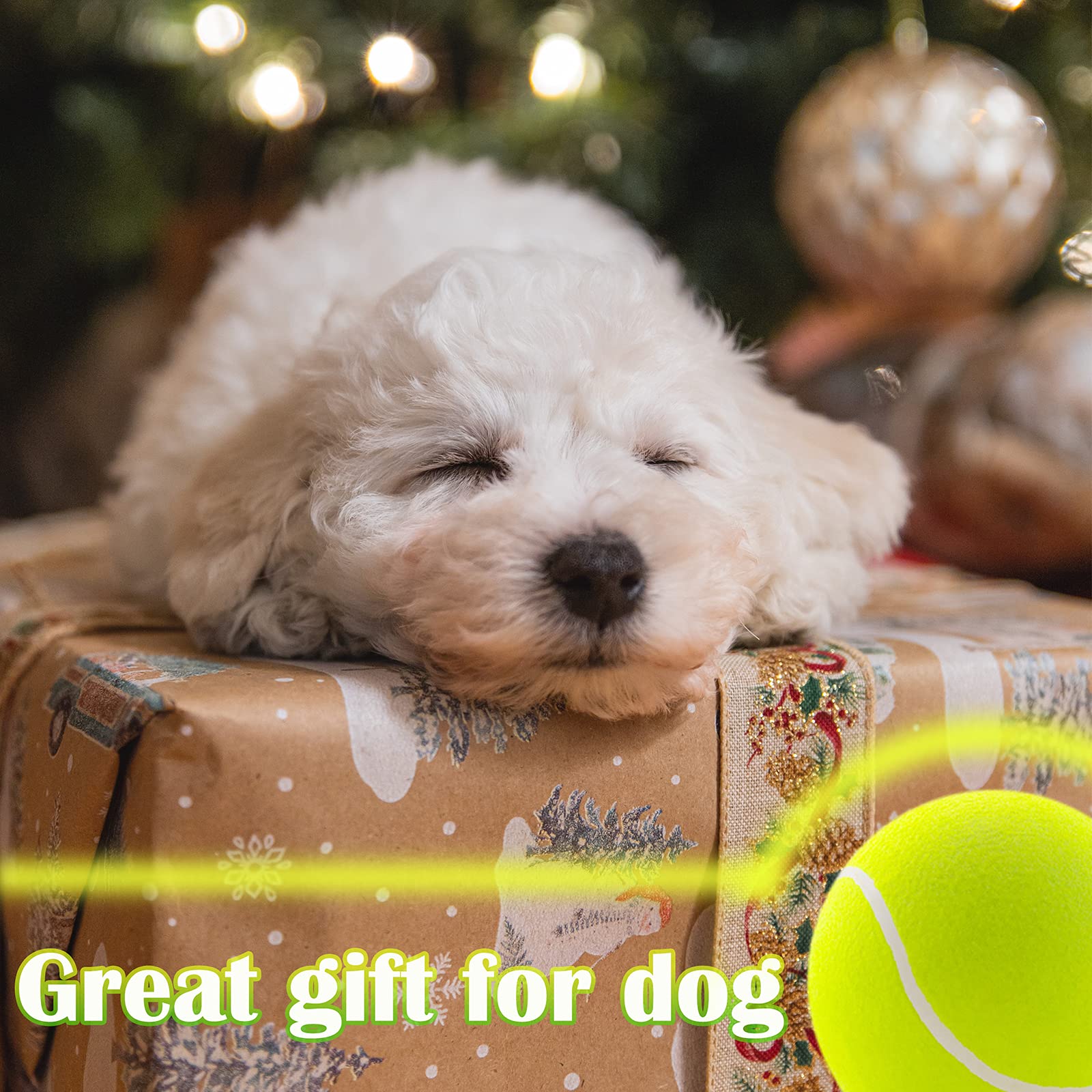 Banfeng giant ball training and interactive play options for dogs.