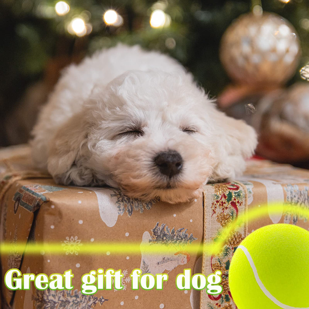 Banfeng giant ball training and interactive play options for dogs.