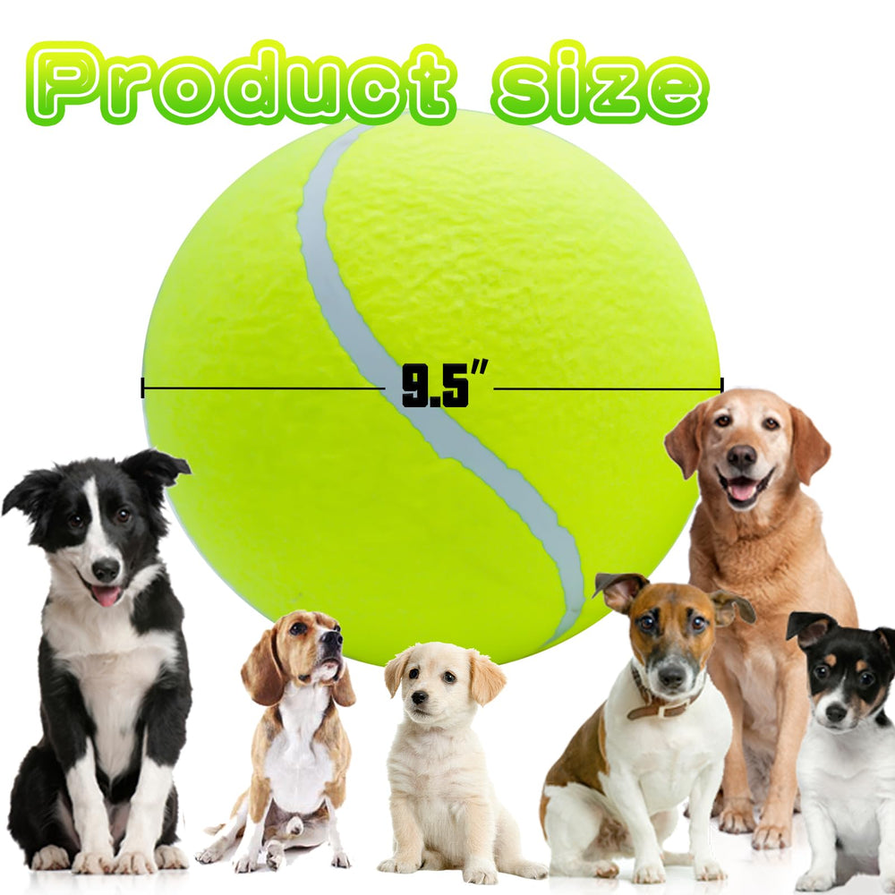 Banfeng oversized dog ball for training and chasing outdoors.