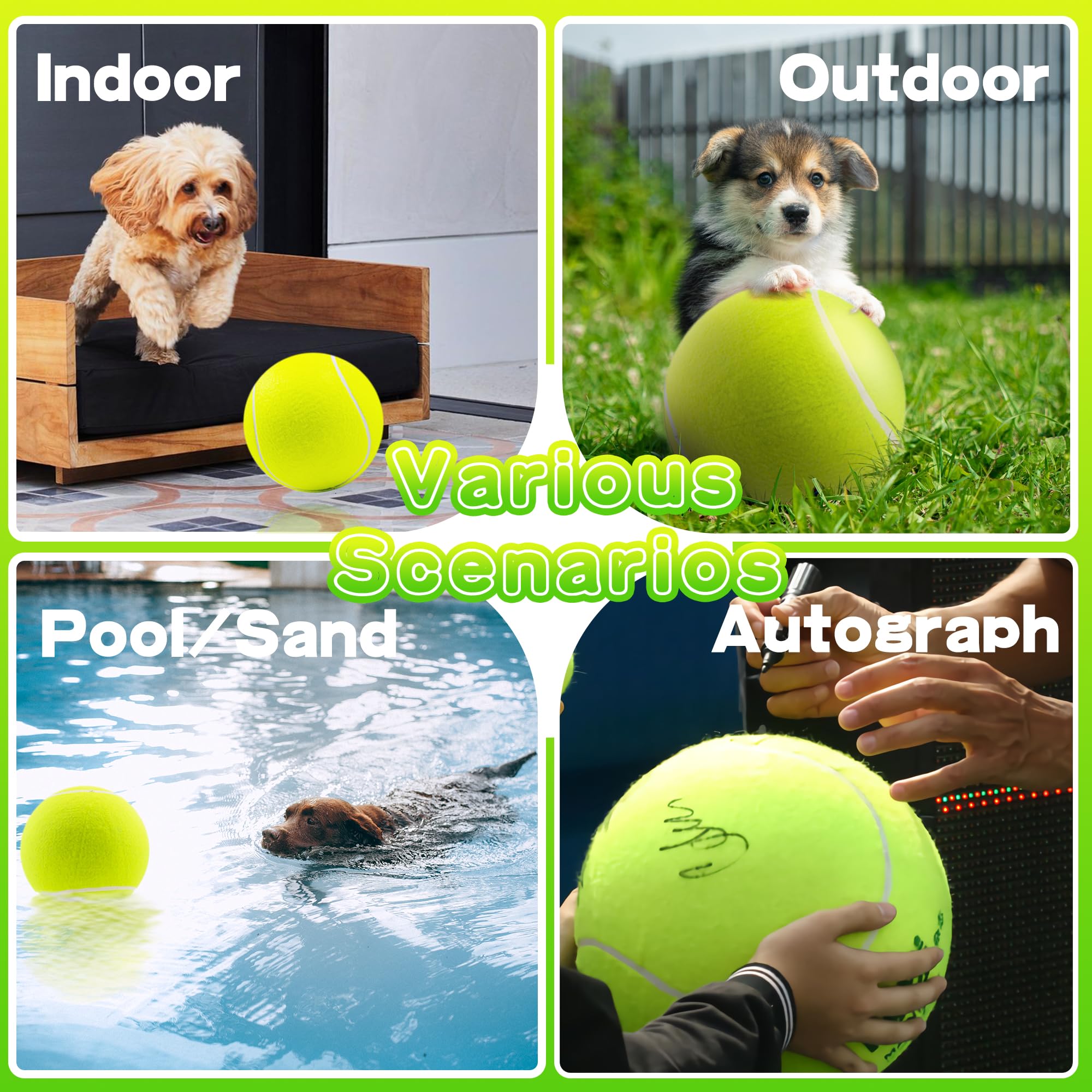Banfeng dog ball ships uninflated; inflate at home.