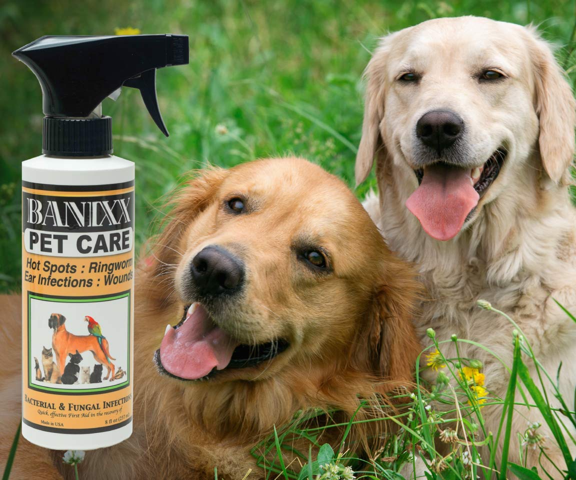 Banixx Pet Care spray leaves no stain on horse coat