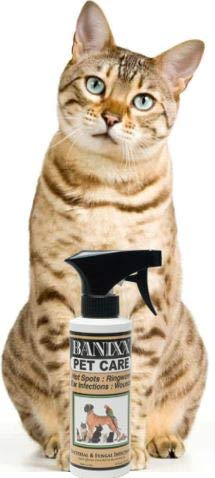 Banixx Pet Care spray in a barn showing odor-free formula