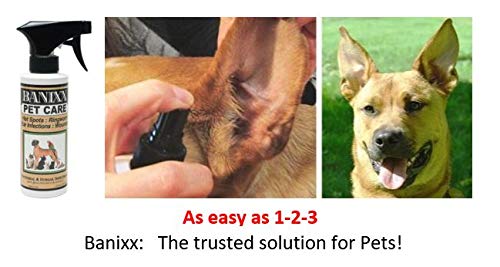 Banixx Pet Care spray applied to a cat's thrush area for gentle care