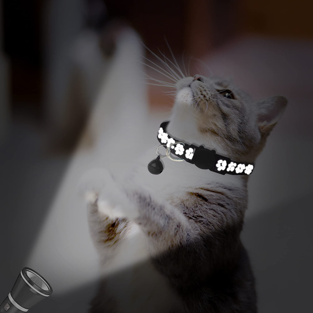 BANMODER reflective stripes on cat collar captured for high visibility at dusk