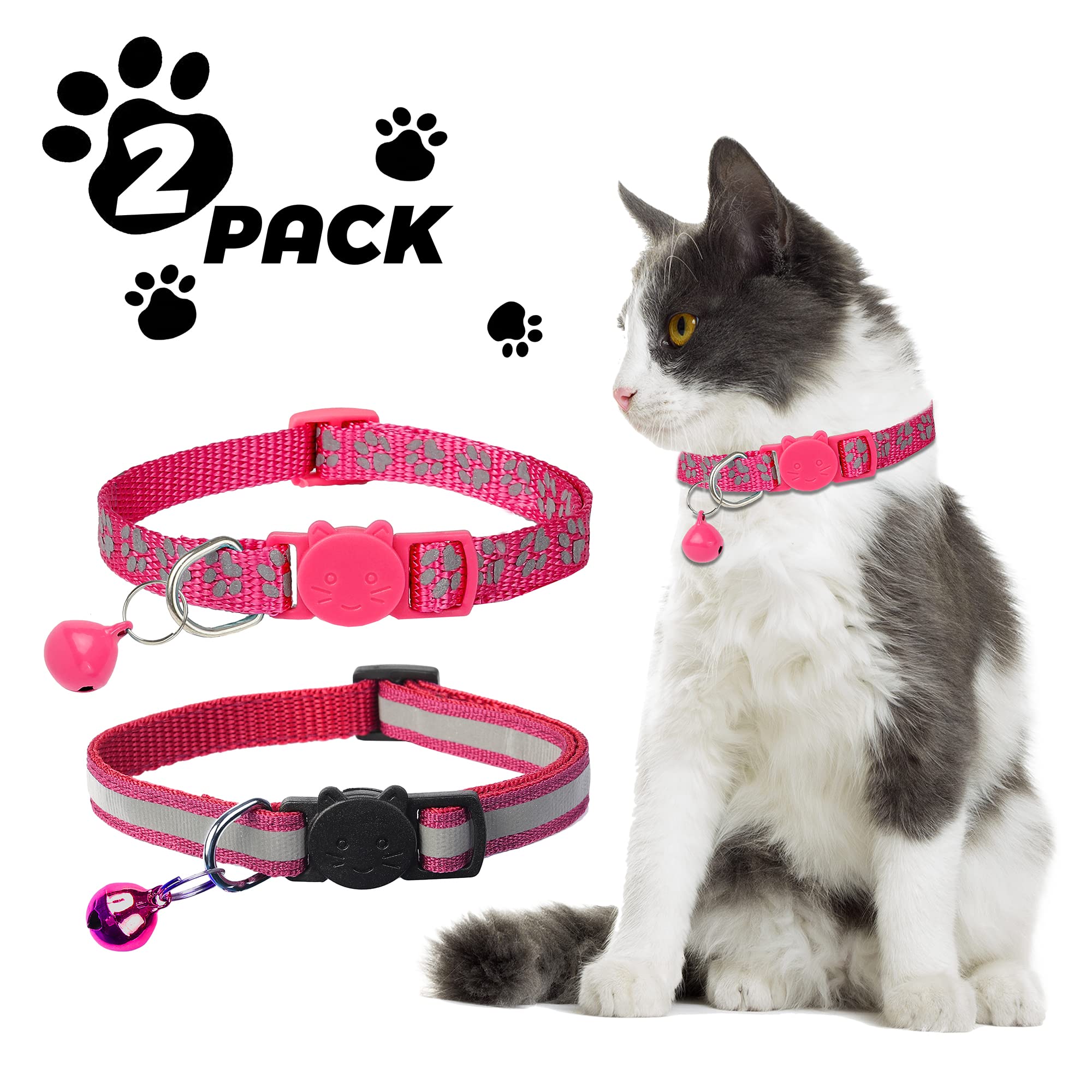 BANMODER two-collar set emphasizes convenience and safety for daily wear