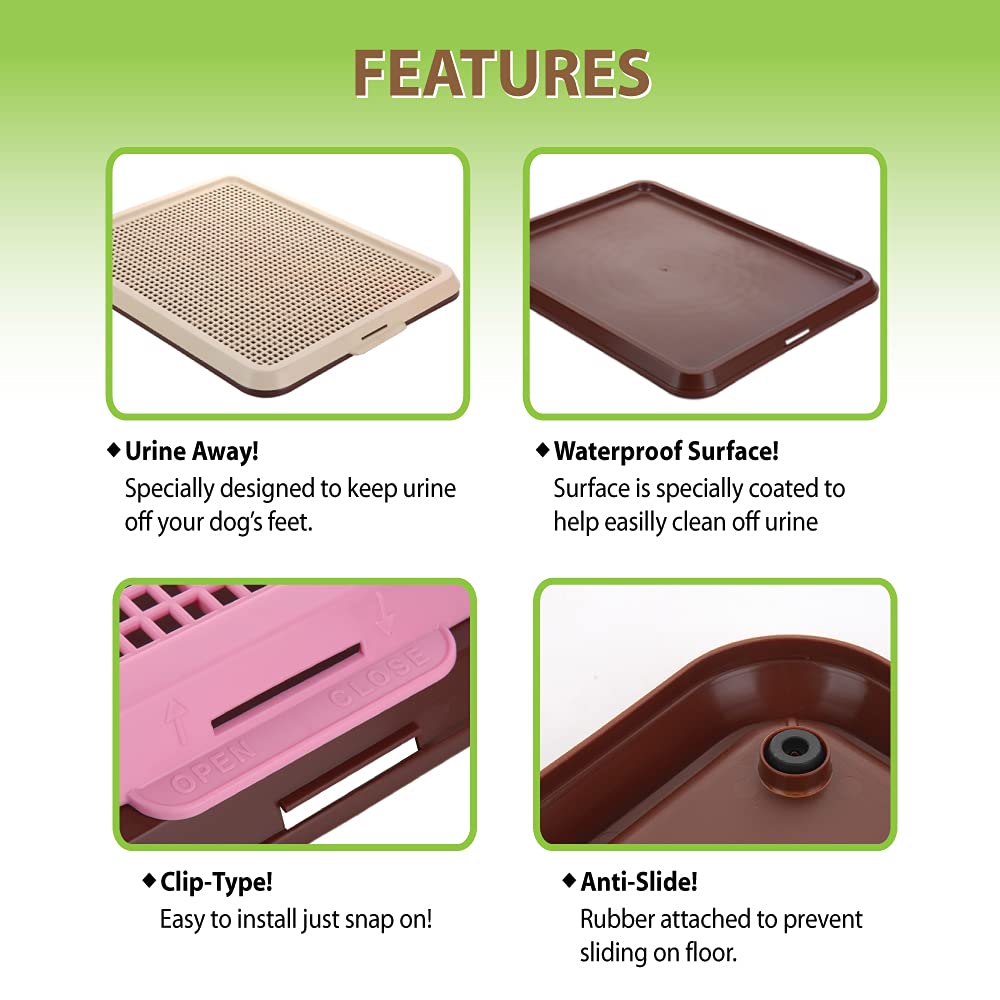 BANU 20x16 inch tray fits small to medium dogs comfortably