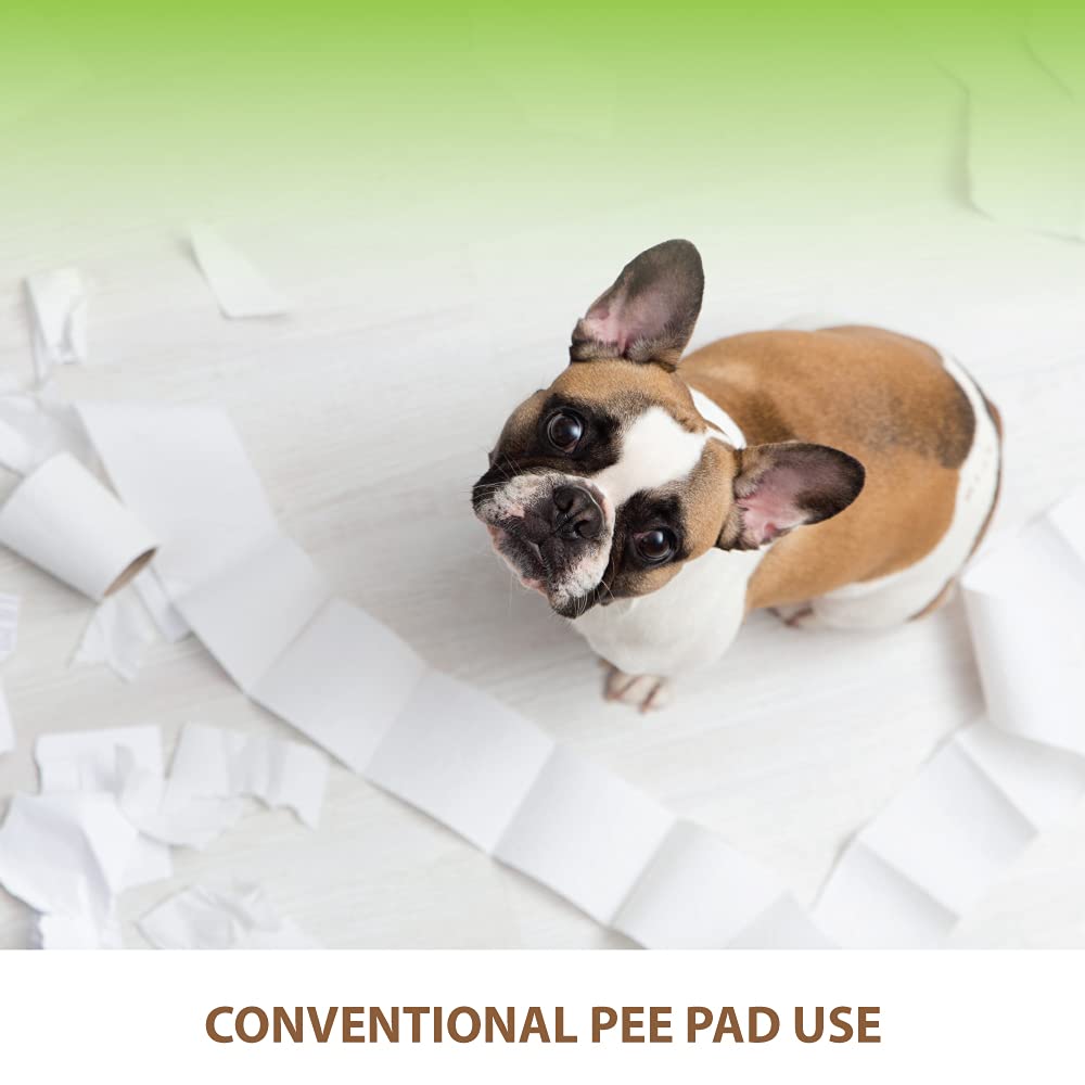 BANU waterproof surface protects floors during potty sessions