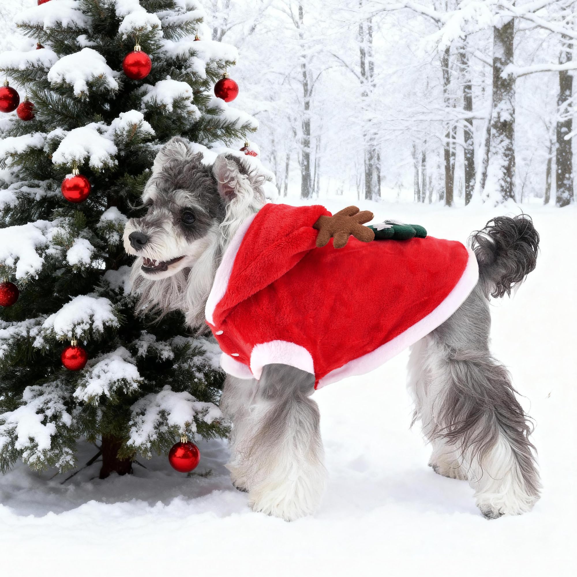 BAOBICUTE Christmas costume ready for photoshoots and holiday parties.