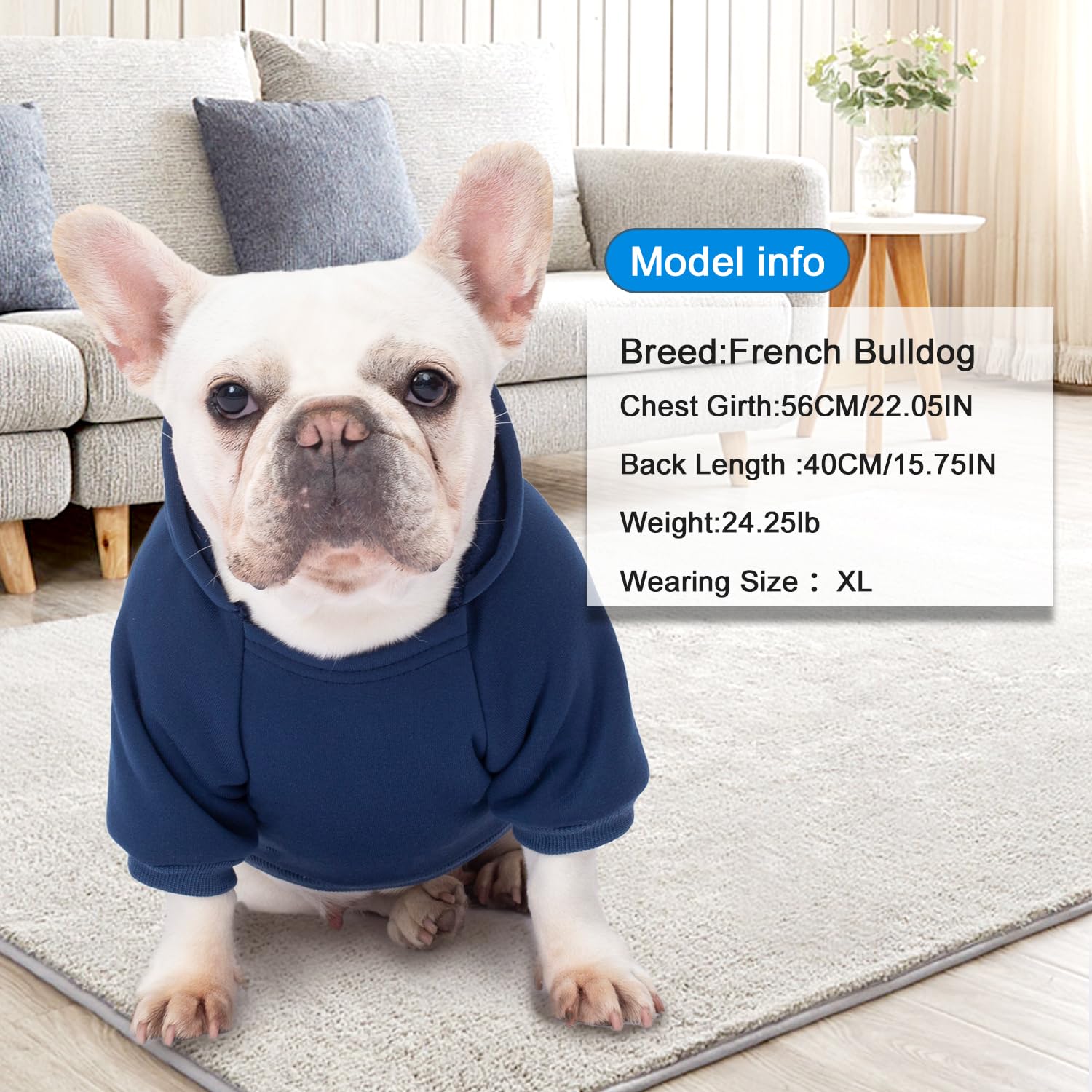 BAOBICUTE fleece-lined interior image demonstrates windproof warmth without bulk.