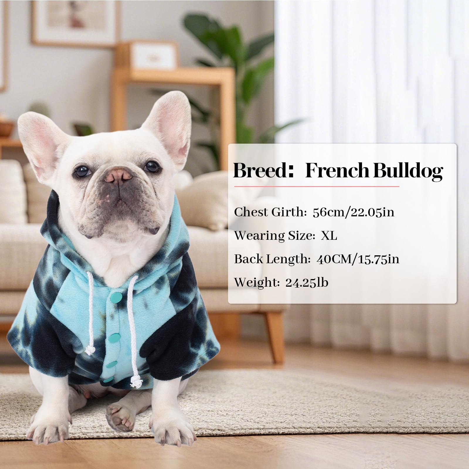 BAOBICUTE dog hoodie tie-dye worn by a dog during daily walks for stylish warmth.