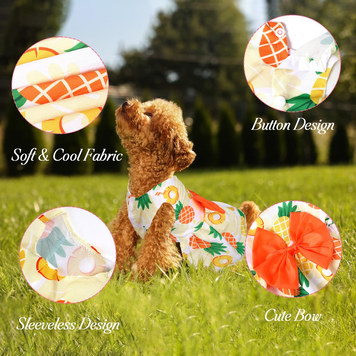 Baobicute girl dog dress with daisy print for floral photo moments
