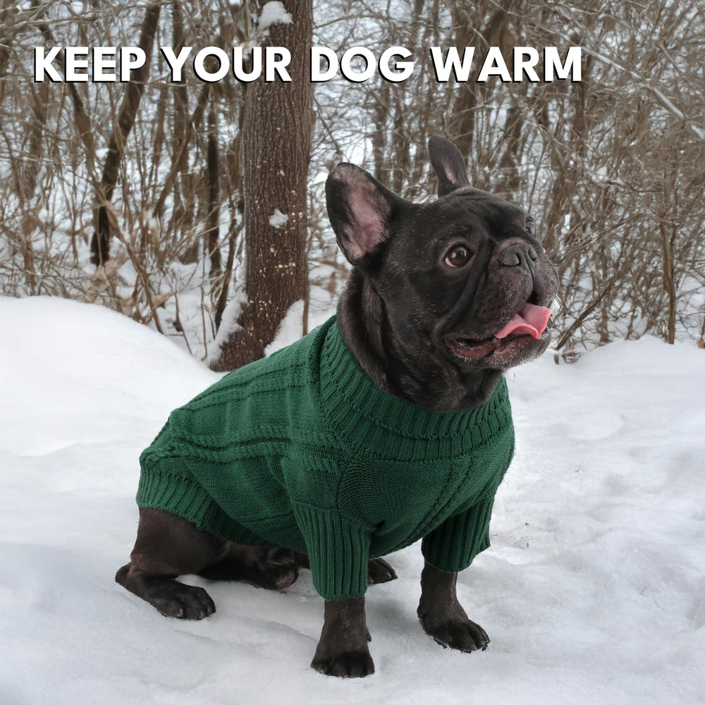 Baobicute pet clothes for winter walks versatile warmth for everyday adventures
