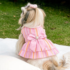 BAOBICUTE sleeveless-pullover-design keeps dressing quick for small dogs
