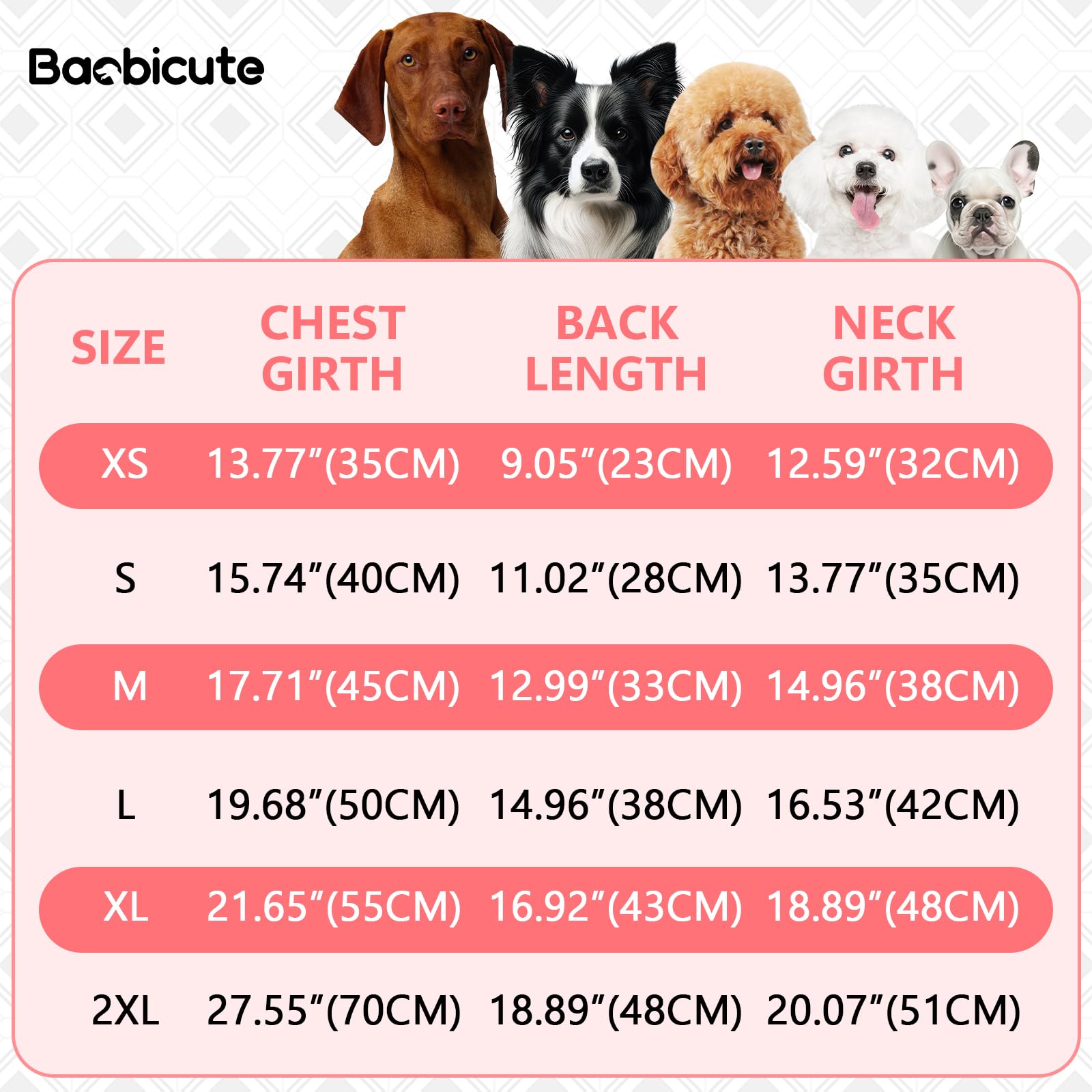BAOBICUTE on-dog-walking view illustrates cozy warmth during outdoor strolls.