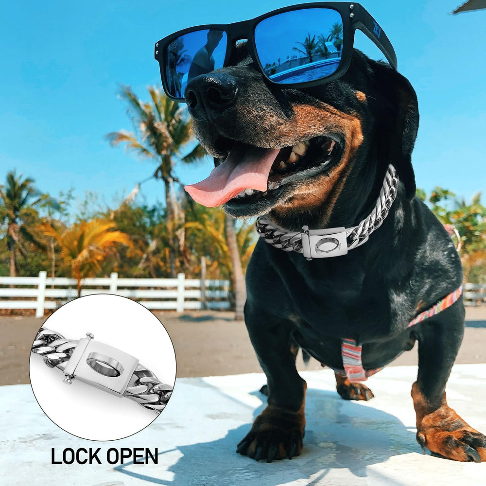 BAOBOTE dog collar on a dog during a walk emphasizes secure welded D-ring and safety.