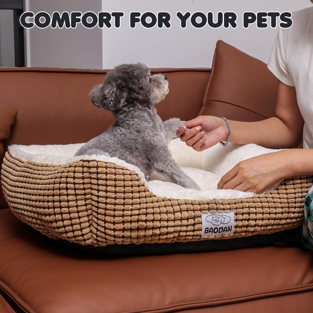 Baodan small dog bed coffee cat-friendly design fits indoor cat lounging