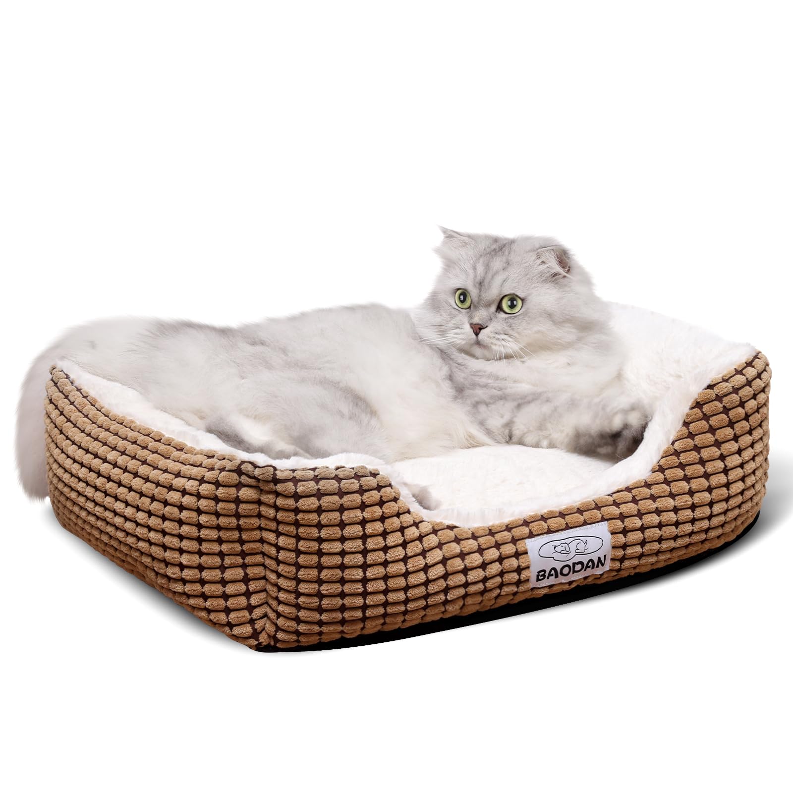Baodan small dog bed coffee top view shows cozy rectangle for quick lounging