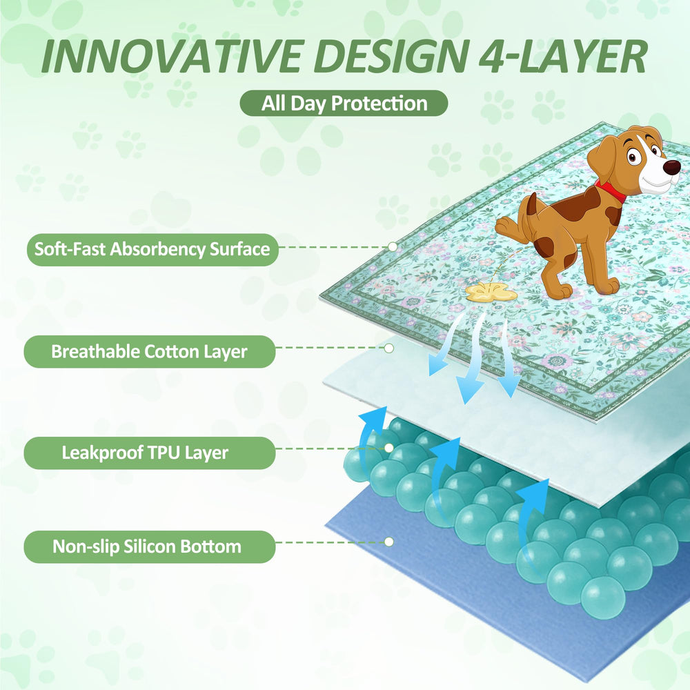 Baodan two-pack pee pads for easy replacement during potty training