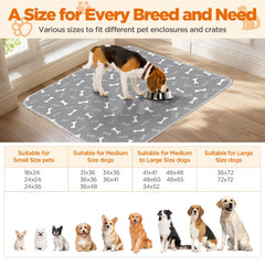 Baodan two-pack packaging highlights reusable design and cost-saving solution for busy households.