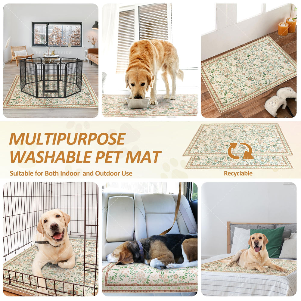 Baodan washable dog pee pad puppy-training aid for gentle reminders and consistent potty routines.