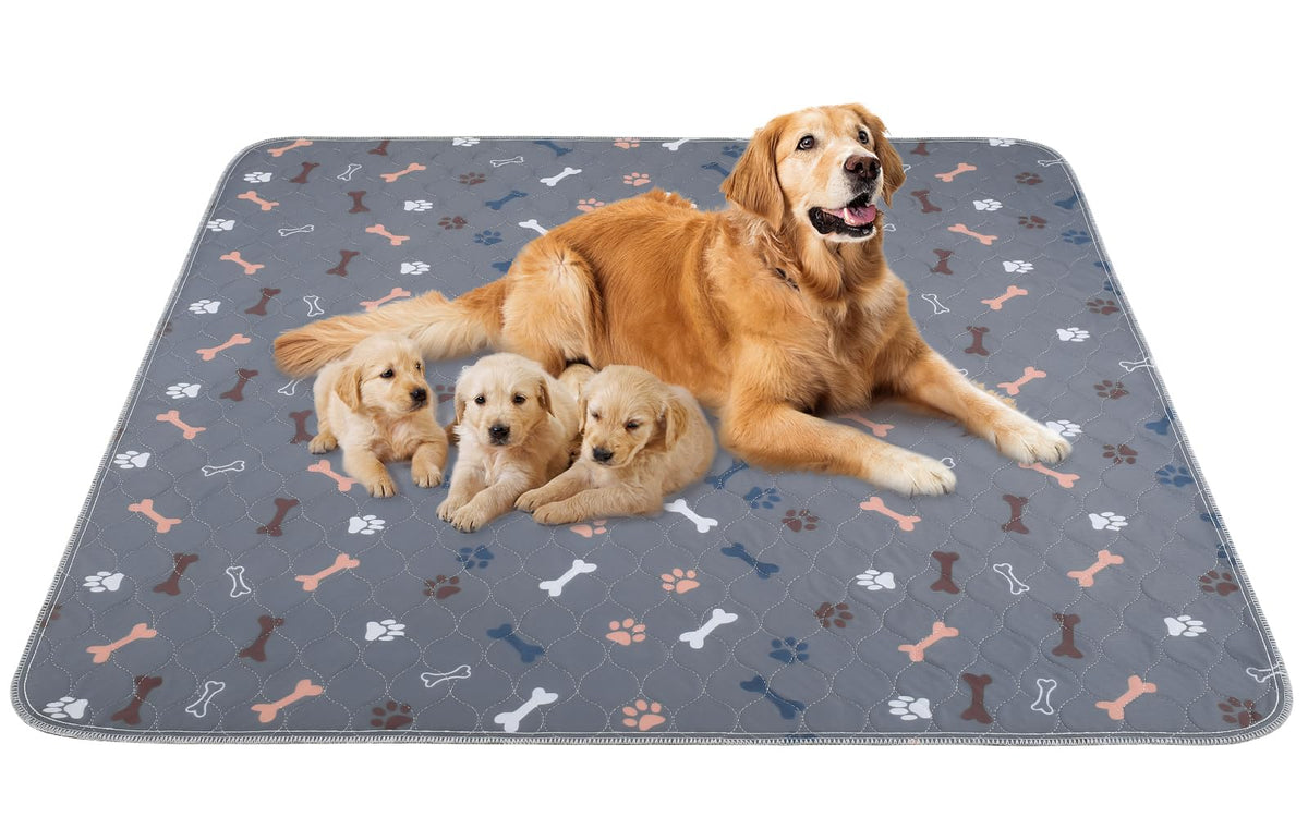 Baodan washable pee pads 2-pack — reusable floor protection for puppies during potty training