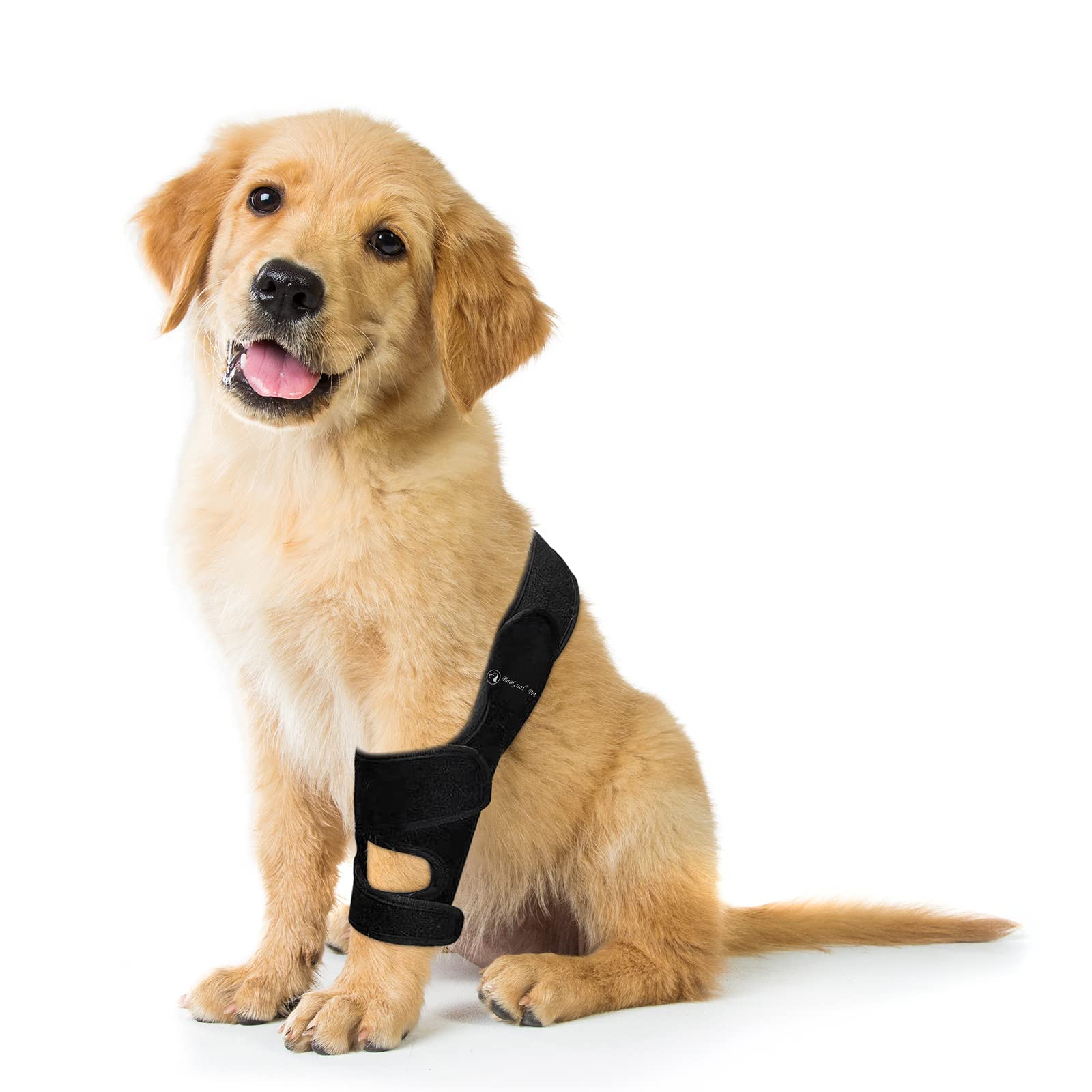 BaoGuai knee brace sizing guide shows seven sizes for dogs.