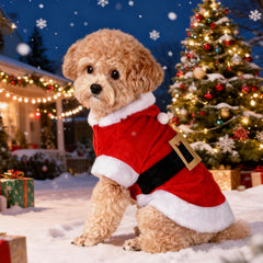 baotongle Santa Dog Costume belt buckle detail highlights holiday charm.