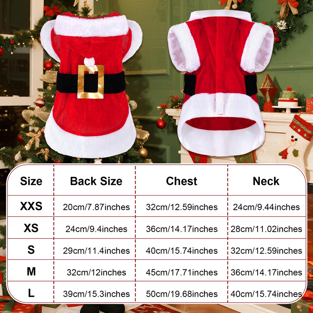baotongle Santa Dog Costume on dog demonstrates warm winter wear for small breeds.