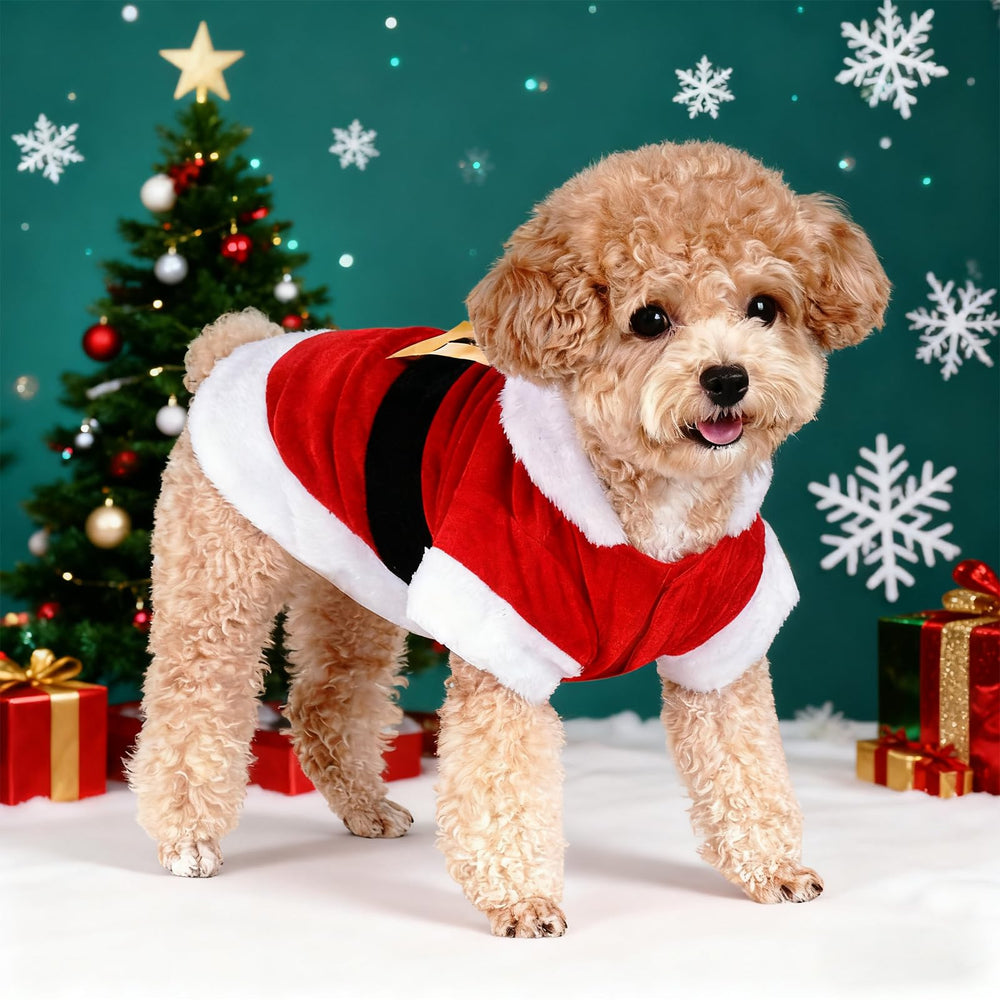 baotongle Santa Dog Costume worn during Christmas walk for photo-ready style.