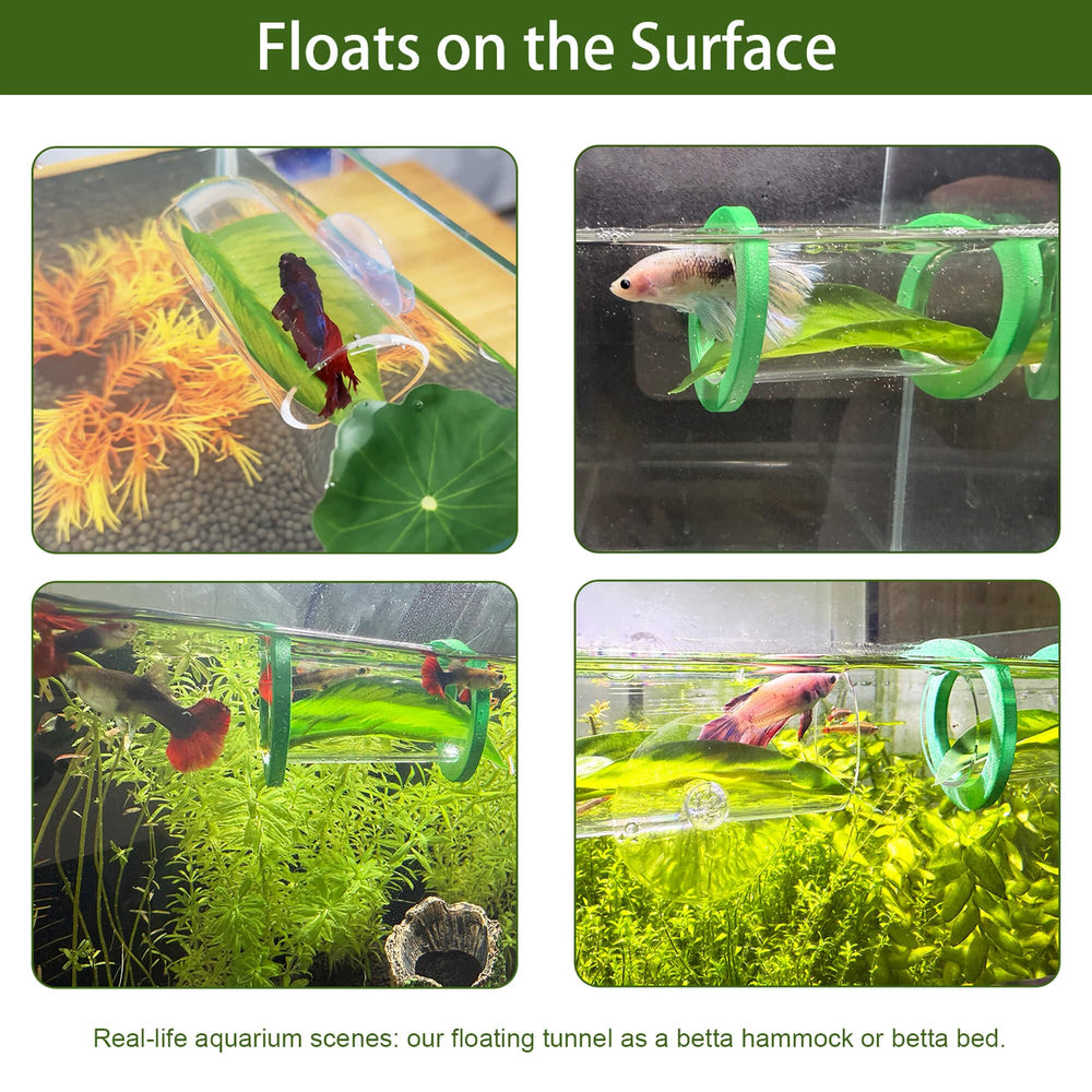 BaoZqua Betta Hammock Leaf Bed offers near-surface lounging comfort.