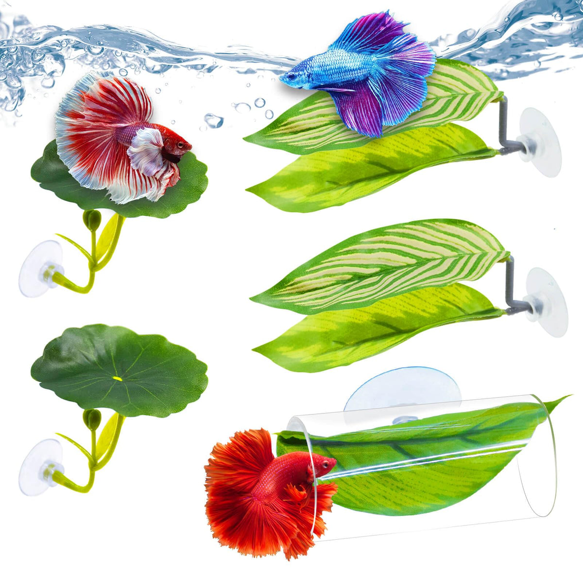 BaoZqua betta hammock lotus leaf close-up for gentle habitat decor