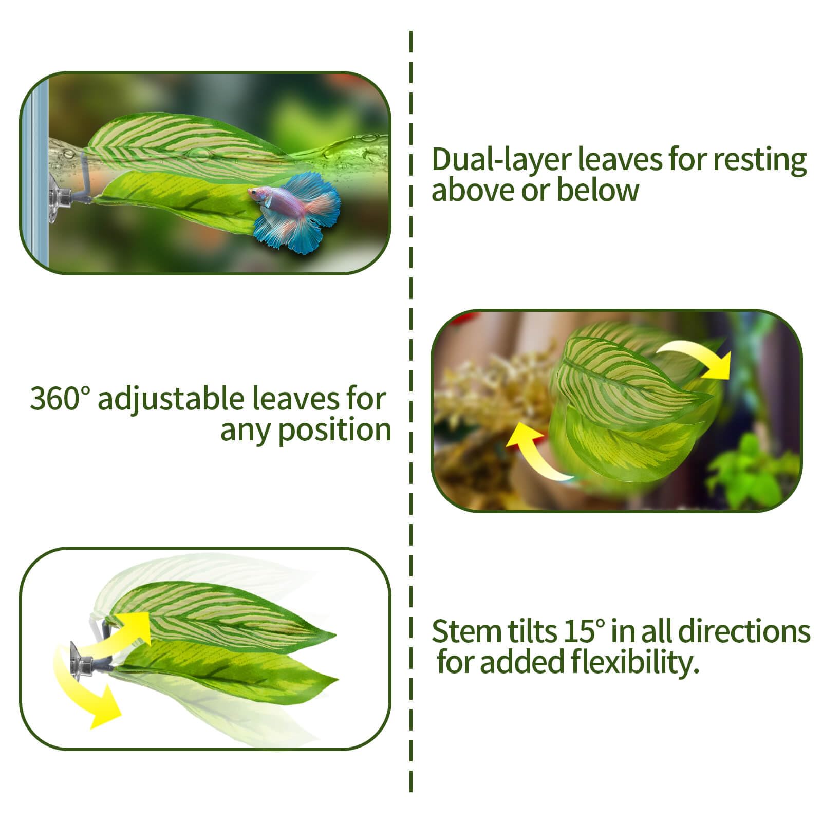 BaoZqua betta tunnel acrylic interior view for observation-friendly hideout