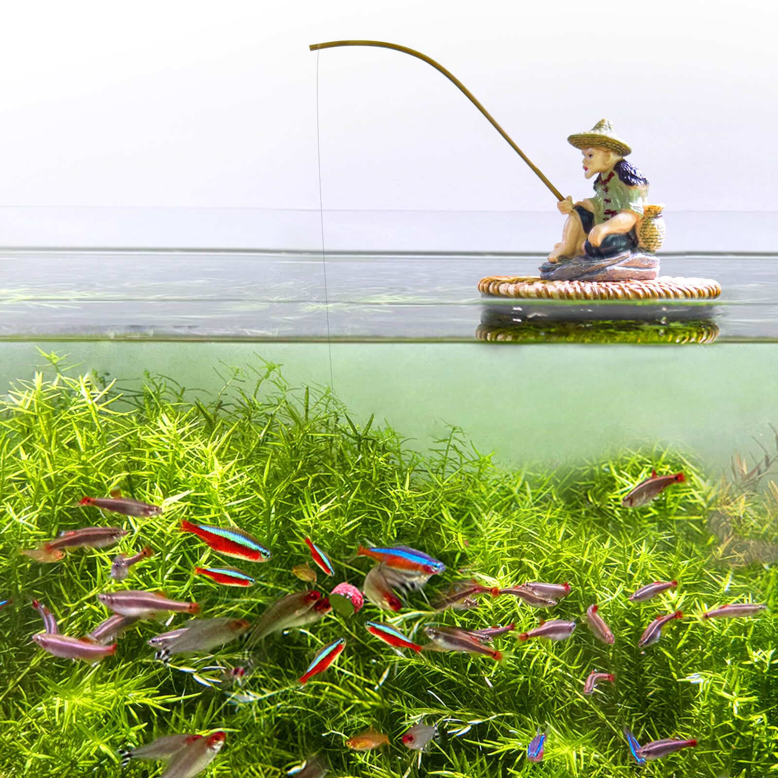 BaoZqua Fisherman on floating pad portrait in aquarium scene offering interactive viewing