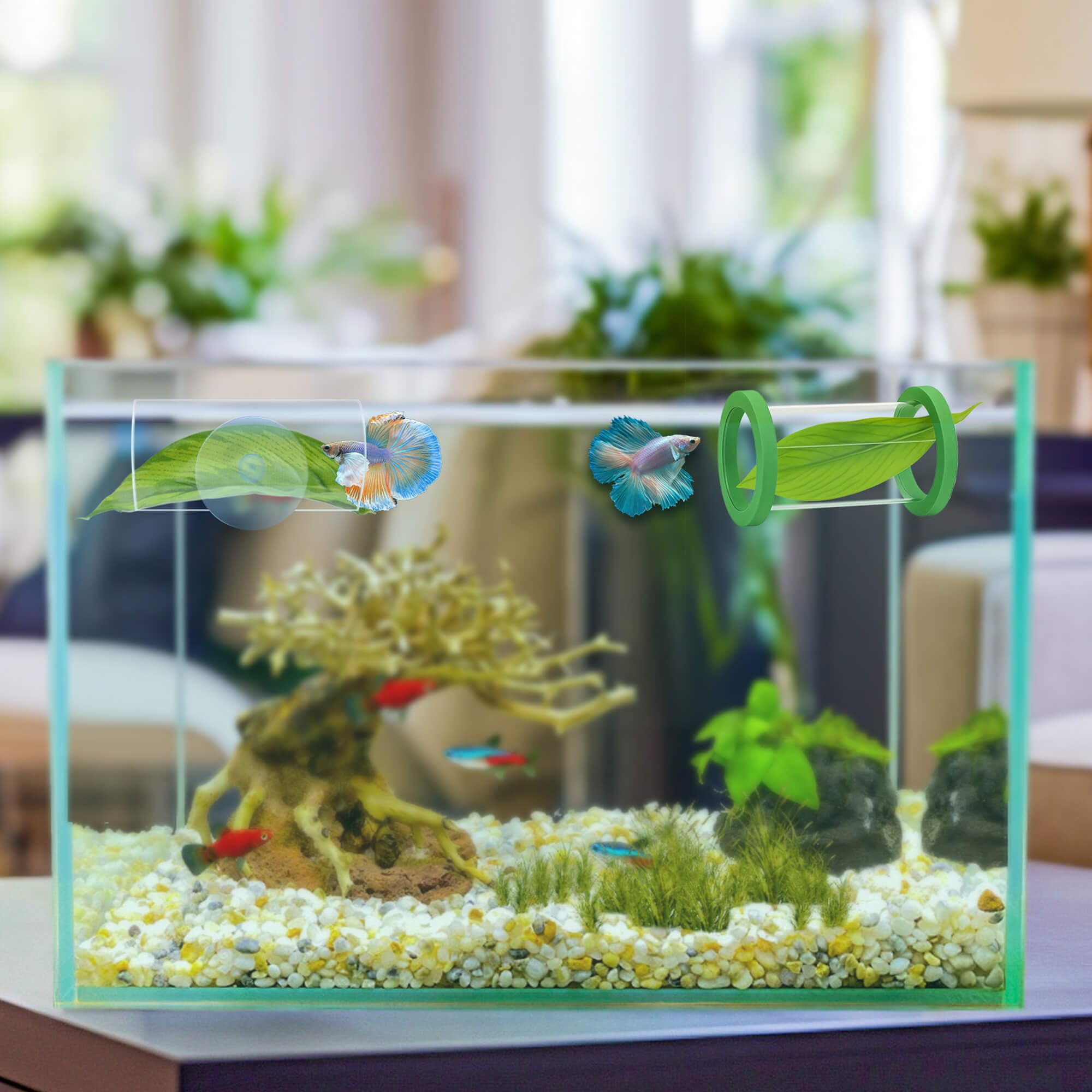 BaoZqua Floating Ring Option adds drift for varied betta activities.