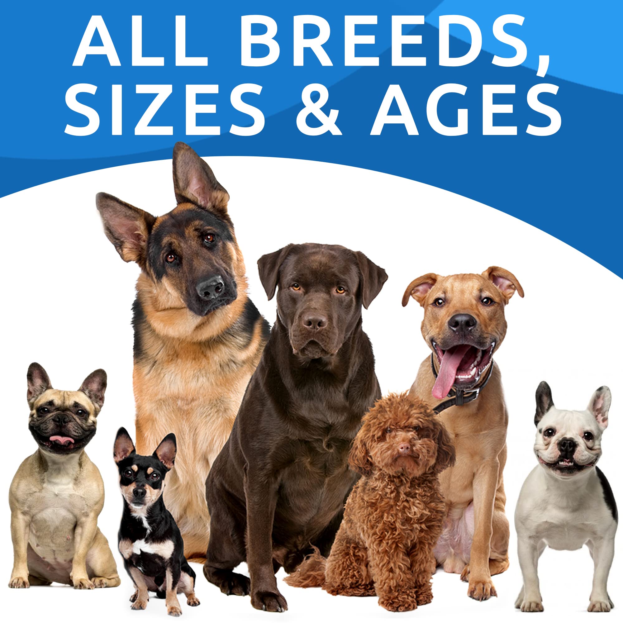 BARK&SPARK before-after relief concept shows healthier skin and coat.