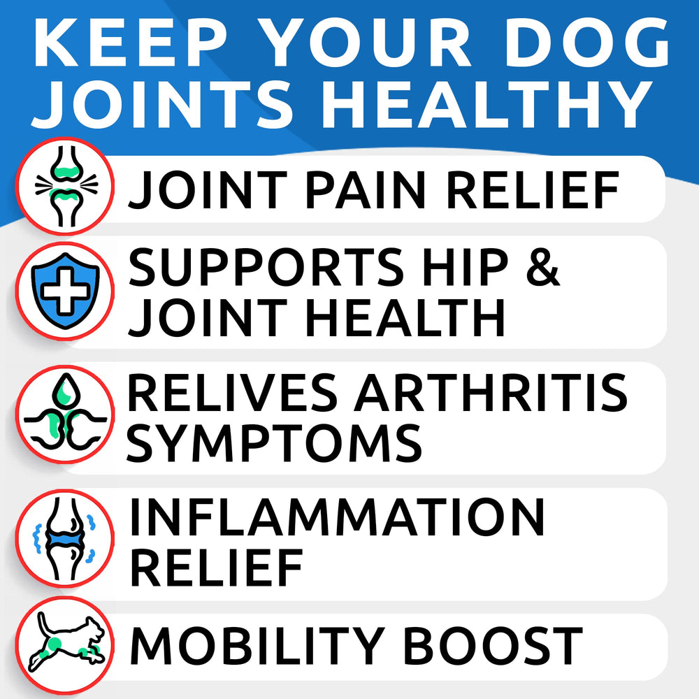 BARK&SPARK Liquid Glucosamine dog pour demonstrates easy mixing into meals.