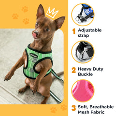 Bark Appeal arnés malla negra clip resistente; sujeción segura en cada caminata.