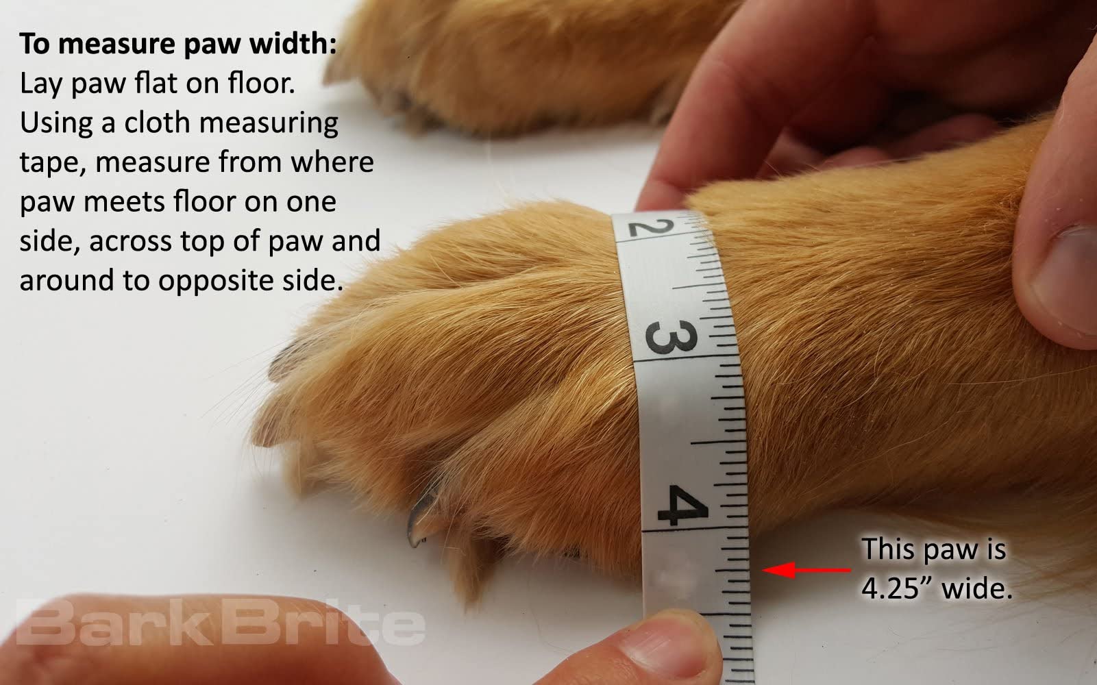 Bark Brite heel-guard upgrade adds extra durability for active dogs.