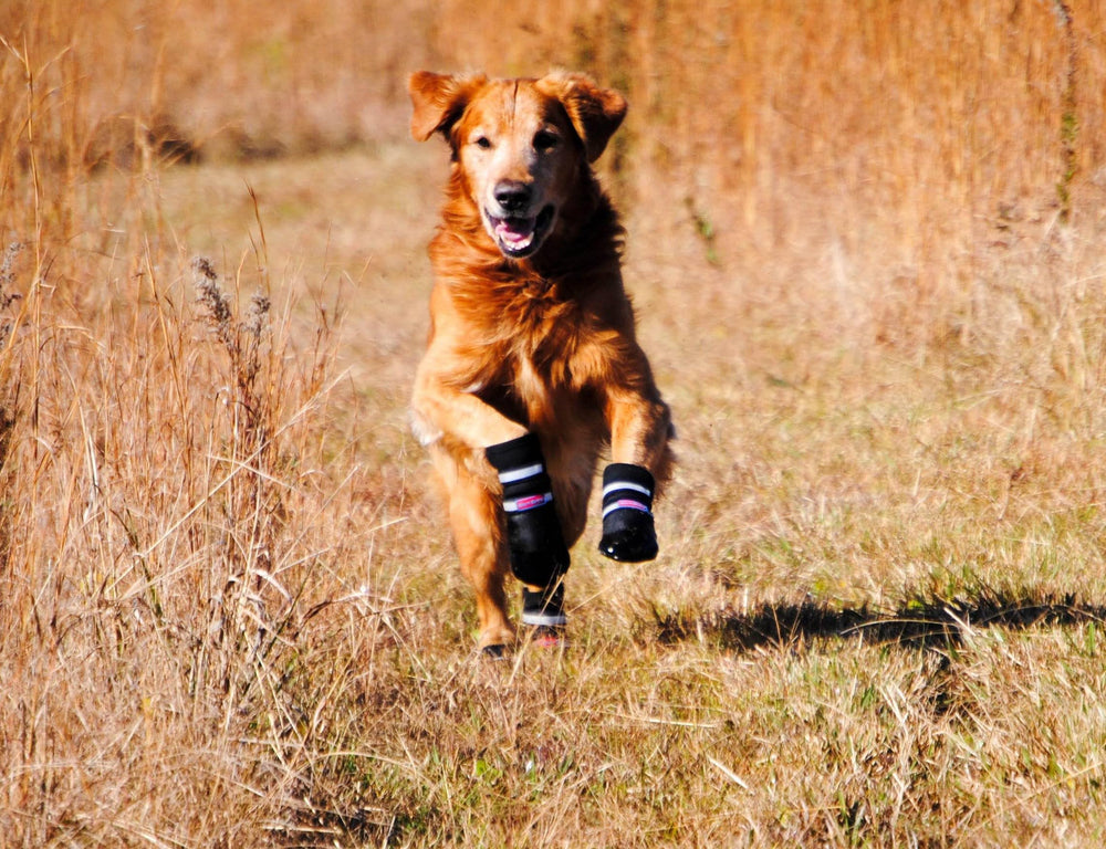 Bark Brite booties with light inner lining help regulate temperature.