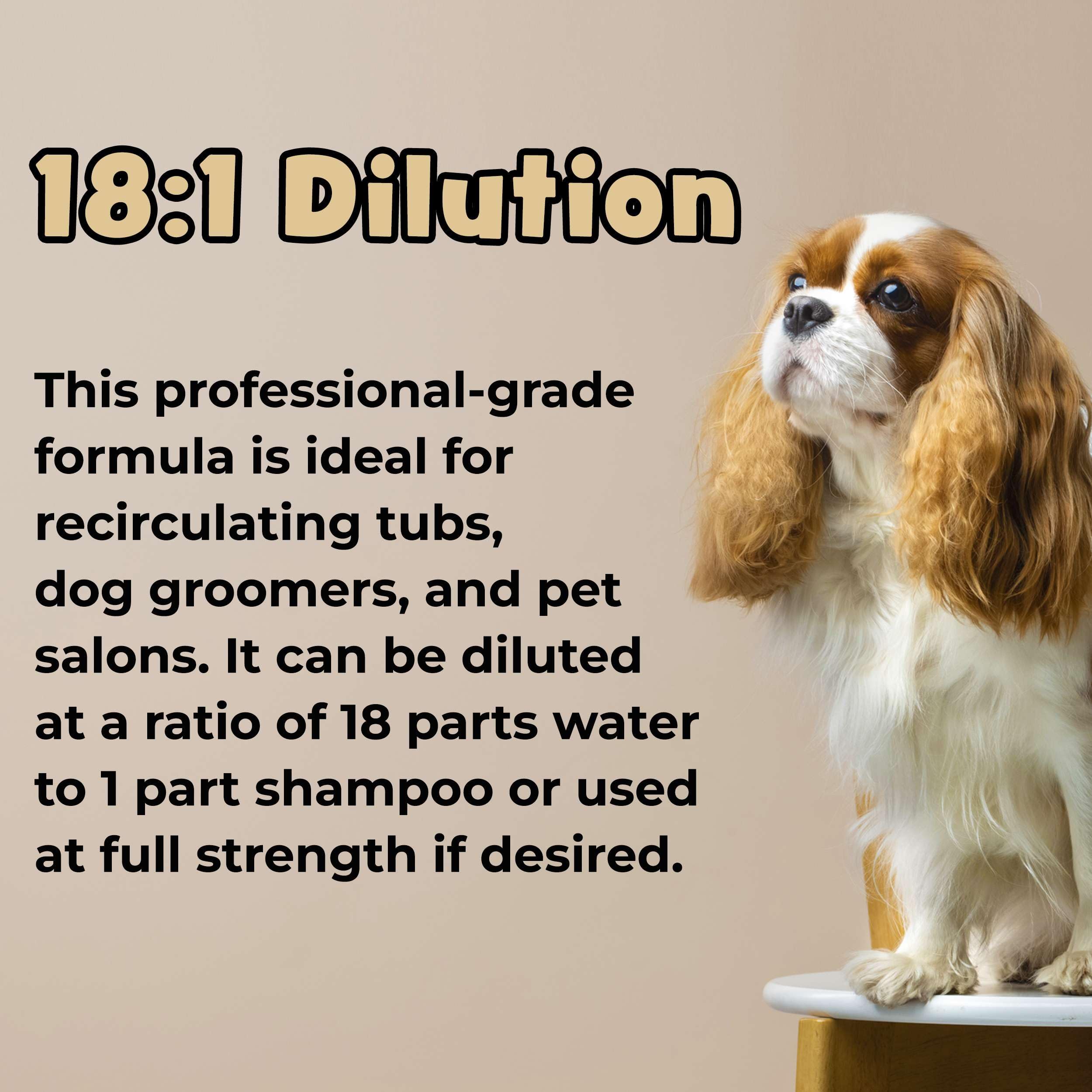 Bark & Clean gallon pump bottle supports home grooming or professional use.