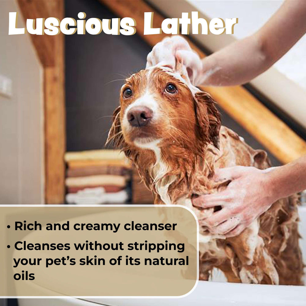 Bark & Clean oatmeal texture emphasizes soothing oats for dry, irritated skin.