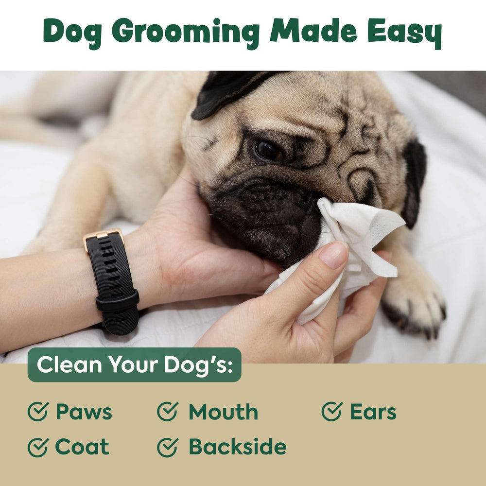 Bark & Clean resealable pack image emphasizing moisture-rich, ready-to-use pet wipes.