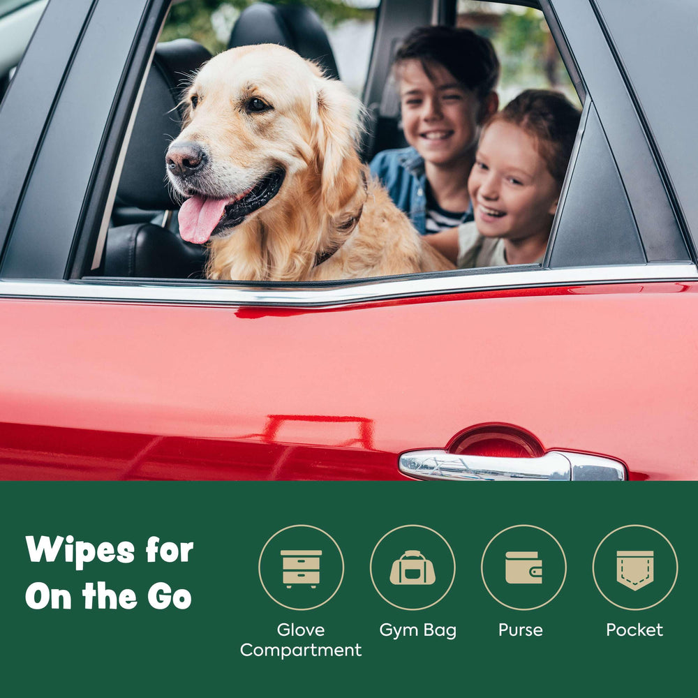 Bark & Clean travel-friendly wipes in compact pack for on-the-go trips.